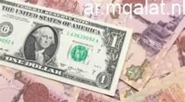 هدوء في البنوك.. سعر الدولار أمام الجنيه المصري خلال تعاملات الجمعة 9 يناير